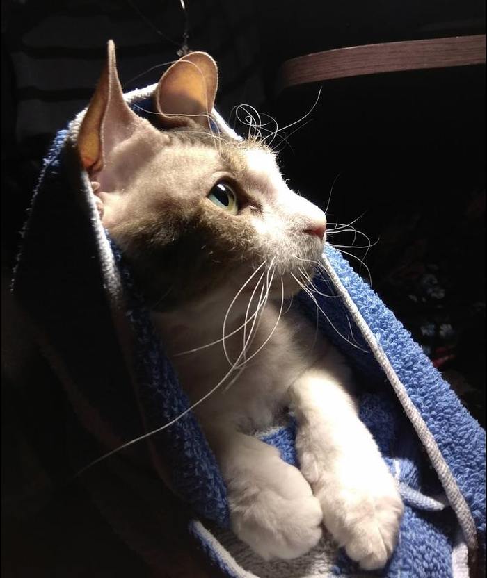 ����-������ ��� � ����� =)