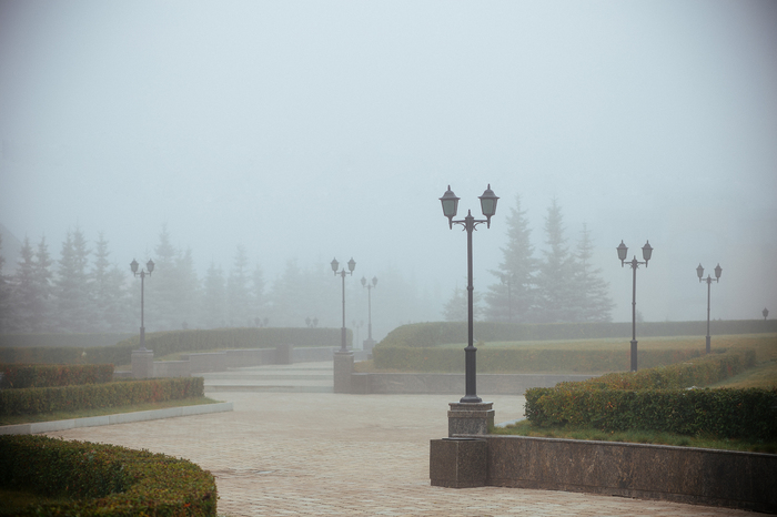 Misty morning - My, Canon 6d, The photo, Square, Fog, Morning