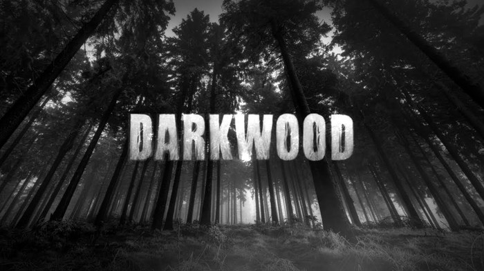 DarkWood Review (Review in Russian) - My, Youtube, Youtube channels, Darkwood, Video game, Review, Game Reviews, My, 