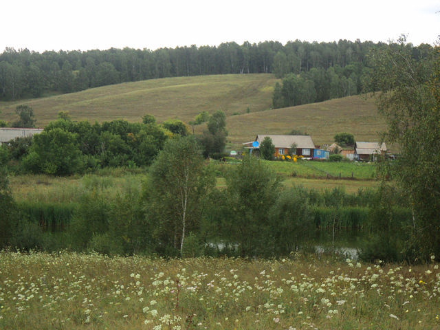 Rural sketches. 3 o'clock - My, Village, Summer, Nature, May, Longpost