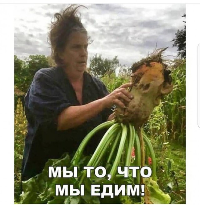 Grandma is a level 80 vegan. - Grandmother, Vegetables, Picture with text