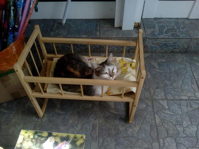 "���� ��������, ��� ������!"