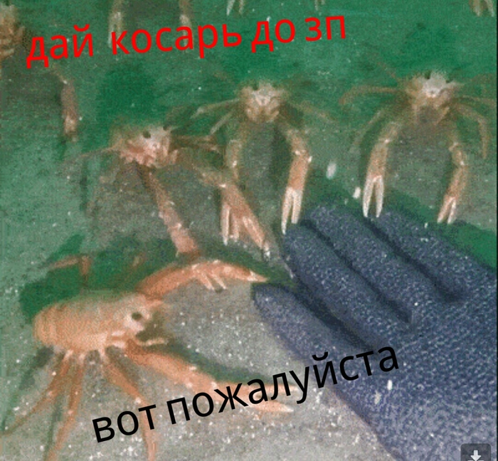 Краб