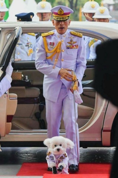 King Rama X of Thailand (Supreme Commander of the Kingdom's Armed Forces) and Air Marshal Fu Fu - Thailand, Dog, King, The photo