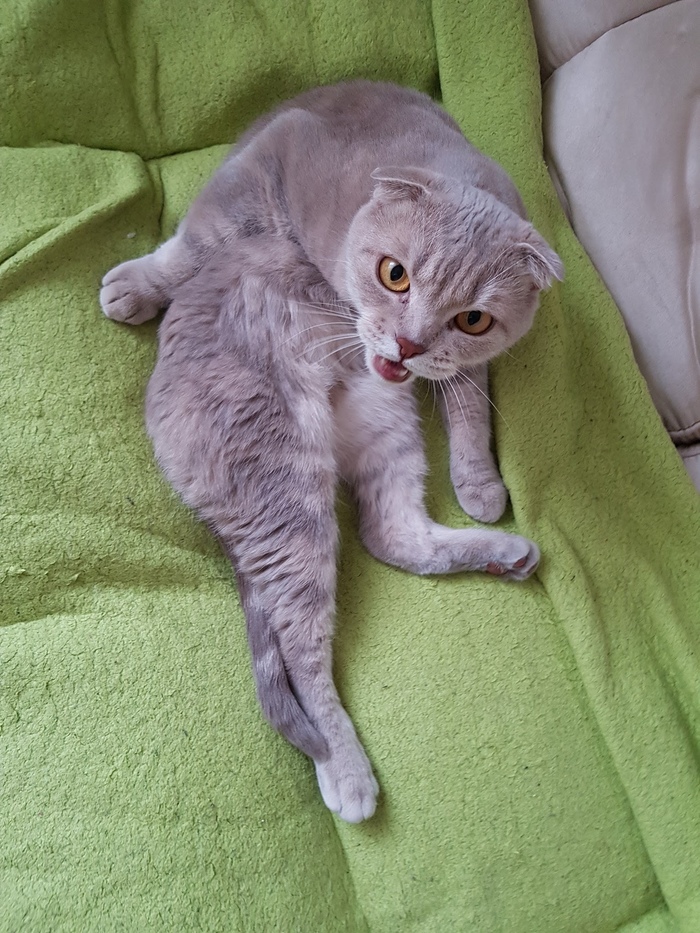 ?  ?!    ... , 