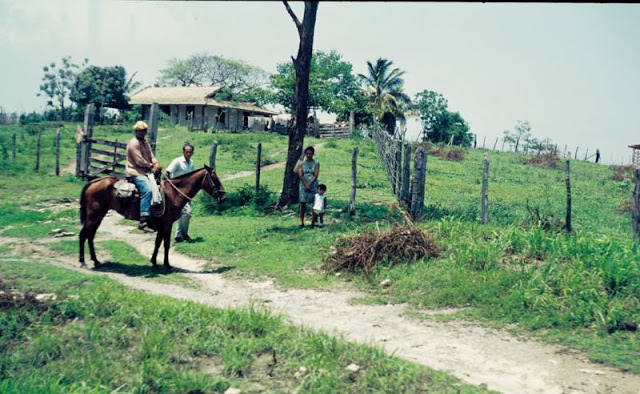 Cuba in the 70s. - Cuba, Story, Historical photo, Longpost