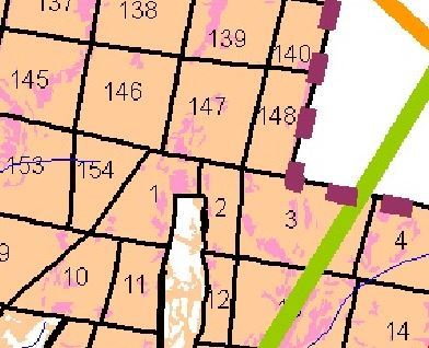 Nuances and errors when orienting along quarterly pillars - My, Forest, Forestry, Orientation, Longpost