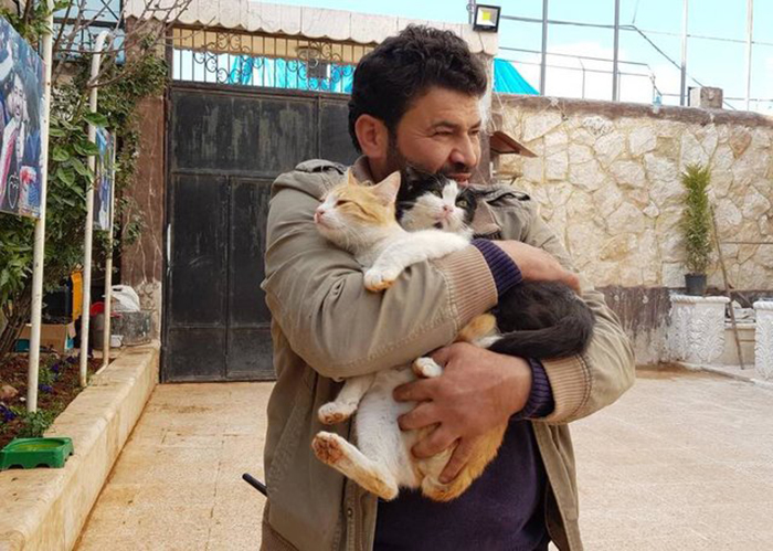 Mohammed Jalil is a man who takes care of animals in one of the most dangerous places on earth. - , cat, Shelter, Syria, , Pet, The photo, Longpost, Pets