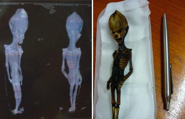 DNA analysis or the mystery of the little alien - Longpost, Aliens, Dna-test