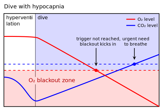 Why do we choke - Physiology, , Longpost