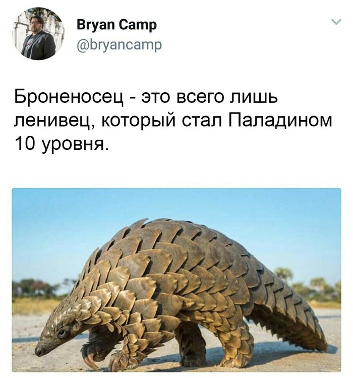 Скорее уж 80-го лвл