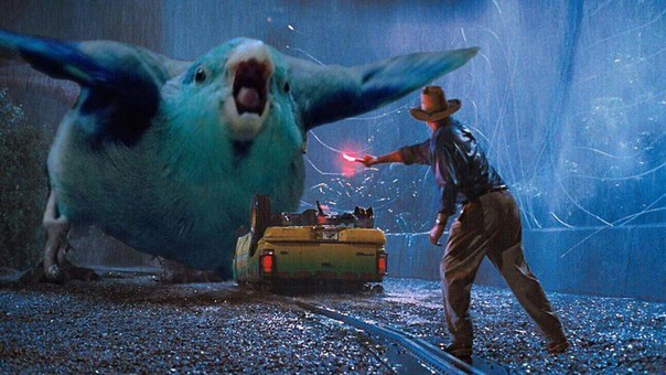 jurassic parrot - A parrot, Jurassic Park, Movies, Humor, It was possible, Repeat