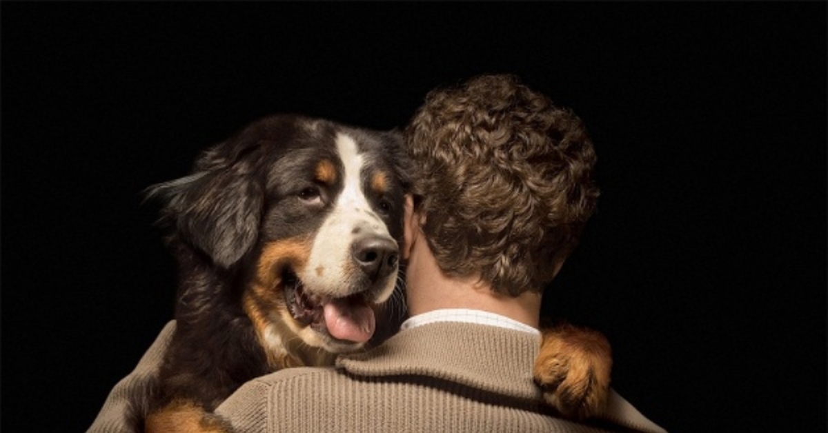 День чтобы стать собакой отзывы. Собака друг человека. Собака друг человека фото. Животные любят людей. Собаки любовь.