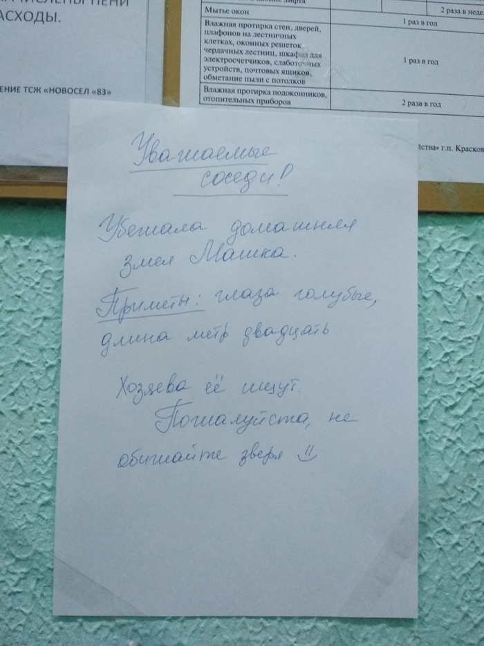 Masha, come back! I will forgive everything! - My, The photo, Kraskovo, Announcement, April 1, Drawing