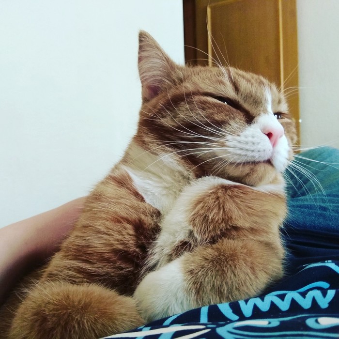 Когда тебя достало первое апреля.