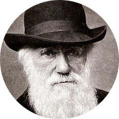 Charles Darwin and marriage - Charles Darwin, Marriage, 