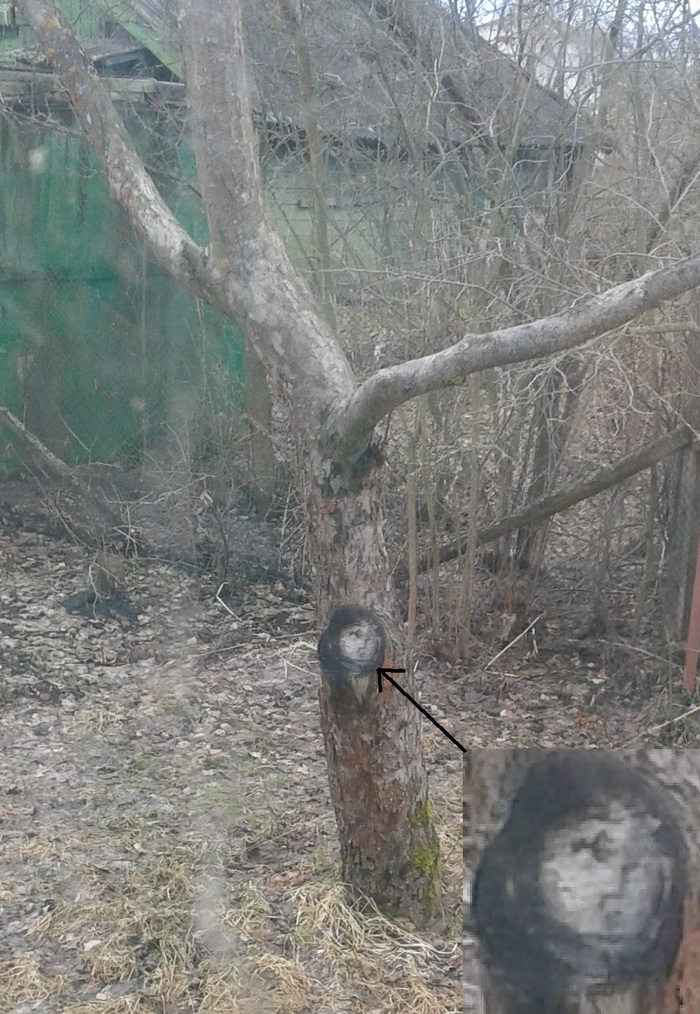 ����� �� �����