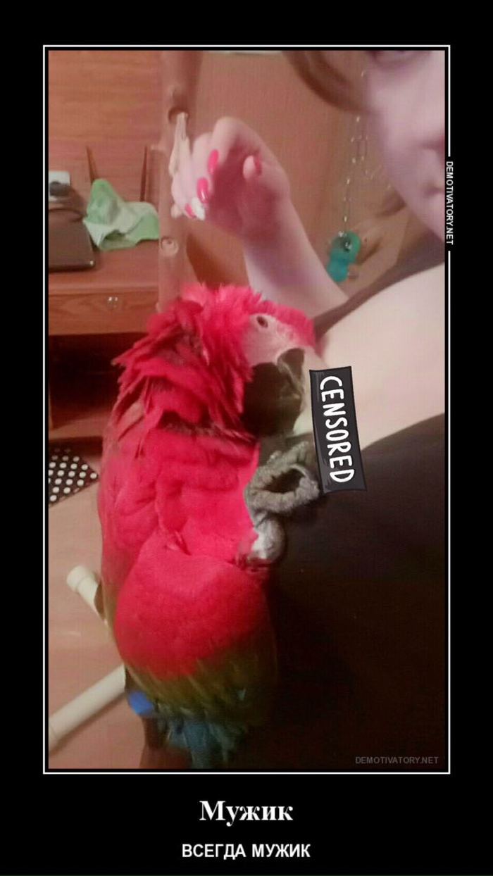 �������� �� �����)