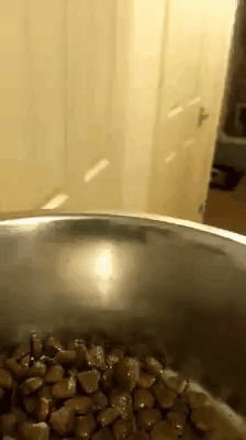 1522825347127791376.gif