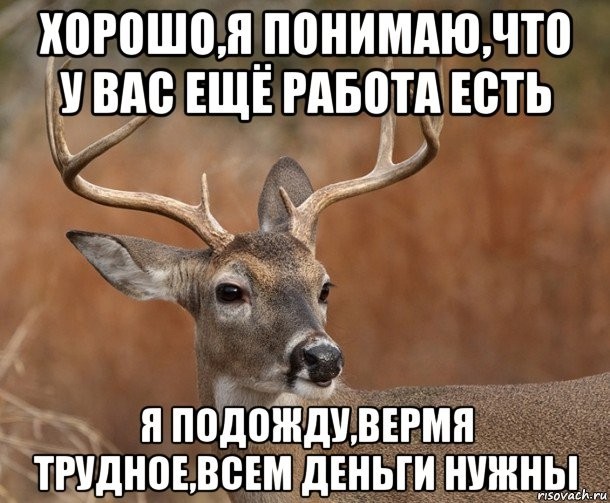 Как я заработал и решил сделать ремонт... - Моё, Ремонт, Строители, Плохой юмор, Безысходность, Текст, Длиннопост