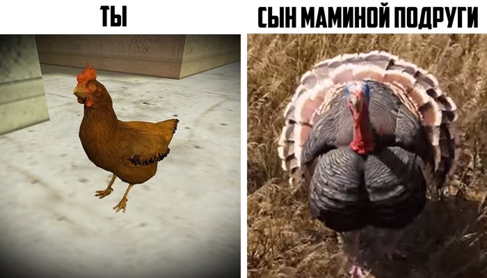 Mom's friend's son... - Hen, Turkey, , Far cry 5, Mom's friend's son