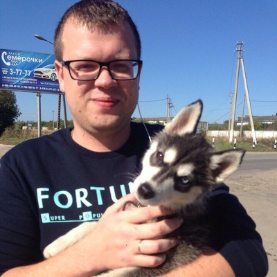 The photo of a Syrian teenager who traveled 500 km to Greece did not leave his beloved husky puppy quickly spread around the world. - Husky, People, Dog, Friend, Person, Longpost