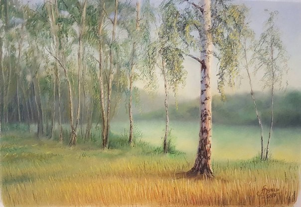 Birch Grove - My, Painting, Landscape, Birch, Dry pastel, Painting, Pastel, Grove, Tree