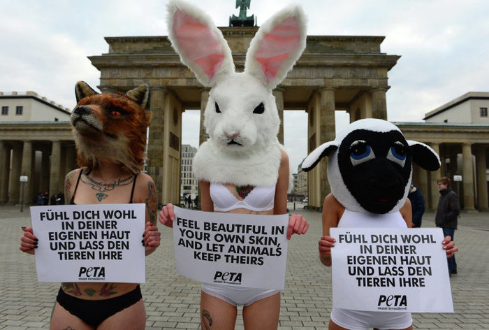  PETA        .