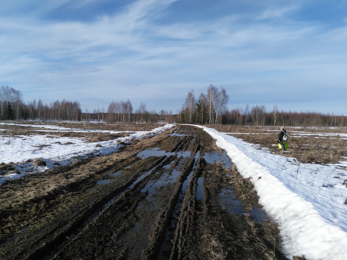 About the road and the fool... - My, Road, Ivanovo, , Village, Fools, cat, Legal consultation, Longpost, Legal aid