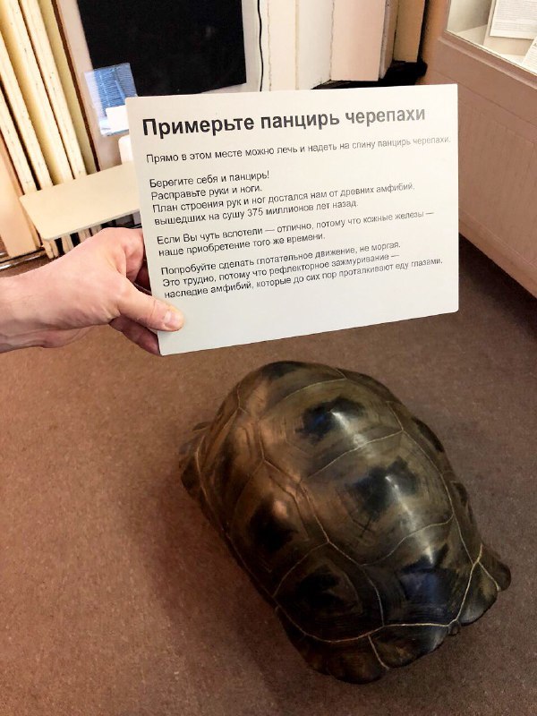 �������� ���: ������� ������������ ��� �������