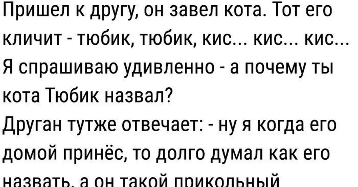 Почистил зубы закрой блин тюбик. Шутки про тюбик. Тюбик прикол. Кота завёл анекдот. Тюбик стих.