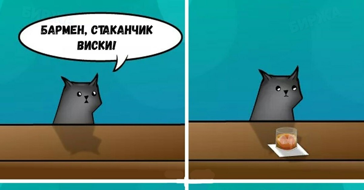 Мем бикукле с котом