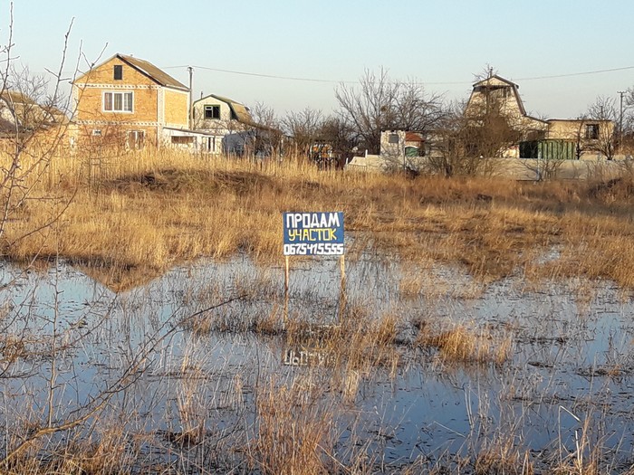 Selling the lake - Spring, The photo, Lake