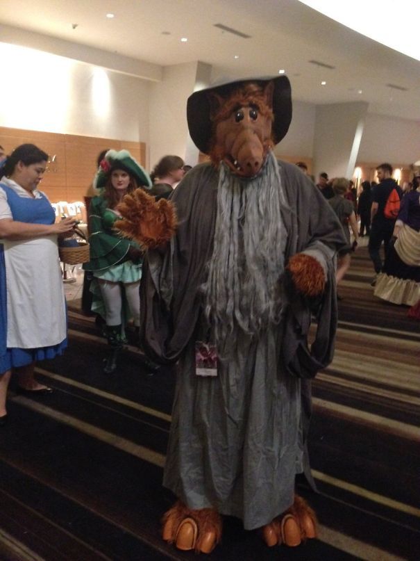 GandAlf - Gandalf, Alf, Cosplay