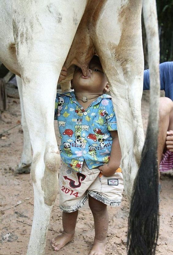 You are not yourself when you're hungry) - Hunger, Cow, Children, Third World countries