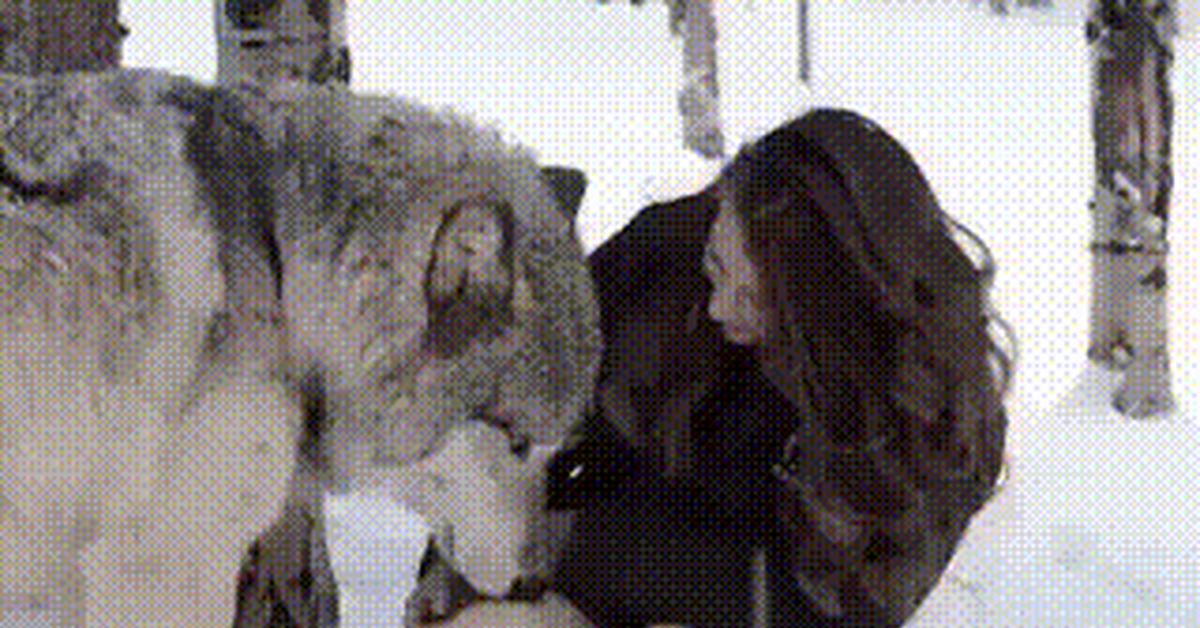 Wolf Fucks Woman