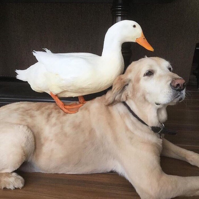      , , , ,  