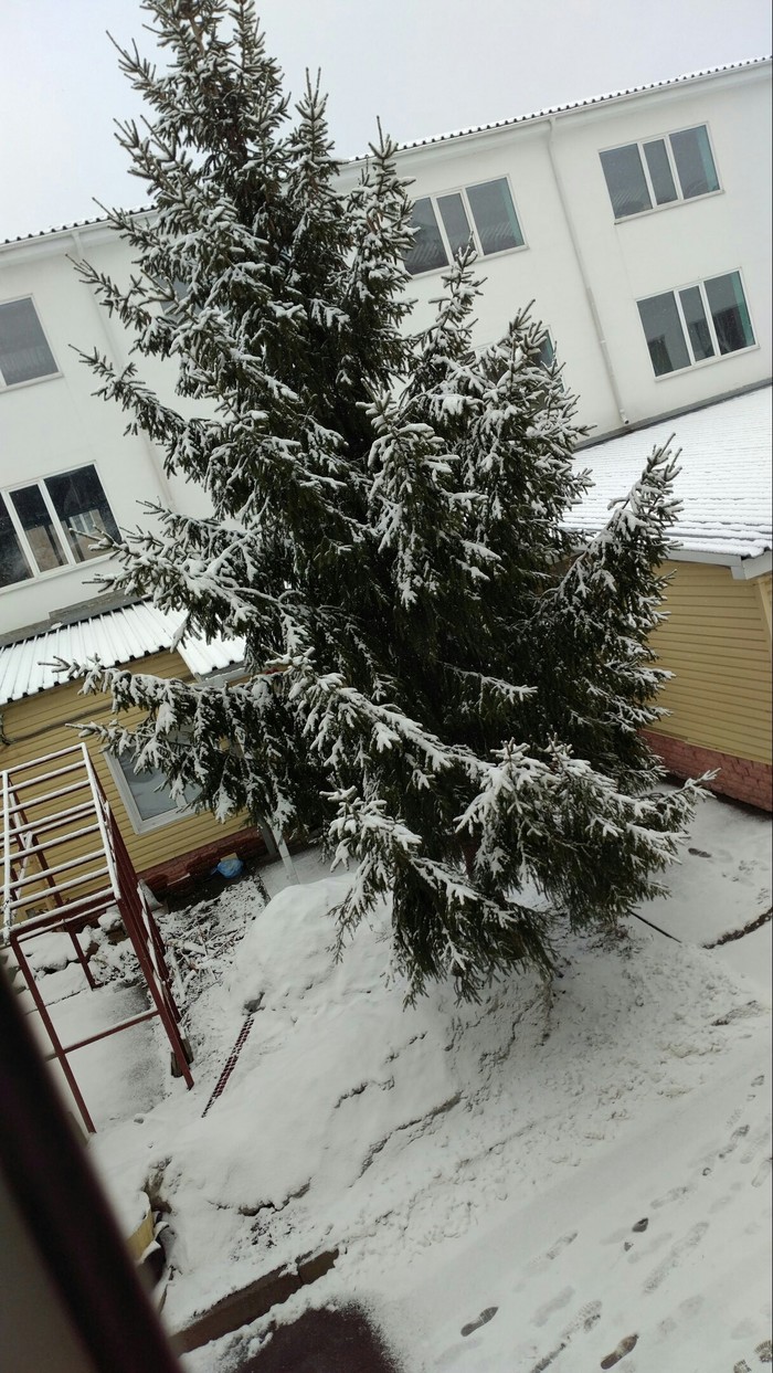 Даже зима не может покинуть Омск - Моё, Весна, Омск, Погода, Зима близко