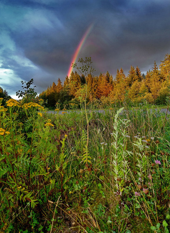 Rainbow - Радуга, Фотография