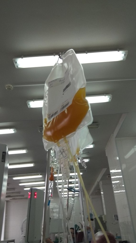 Platelet Donor - My, Donor, , Longpost, Platelets, Donation, Personal experience