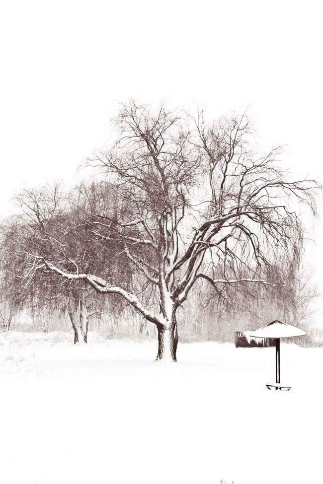 ������� ����)