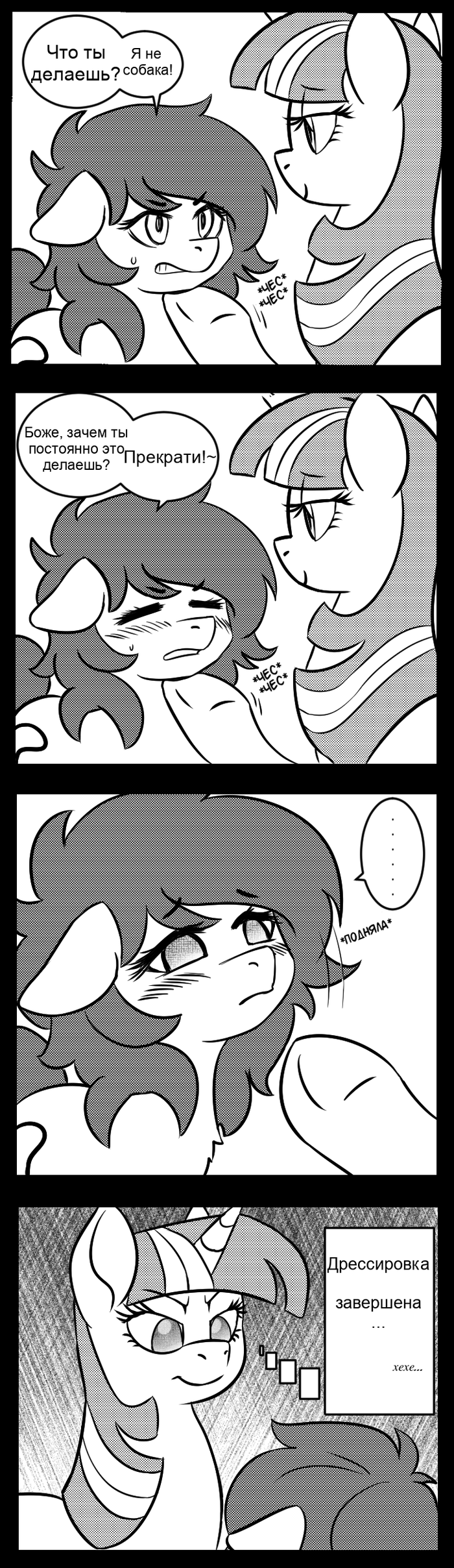 Дрессировка