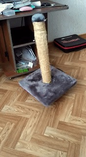  -, , , , 