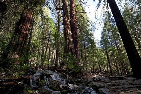 Yosemite: one of the most beautiful places in the USA - Yosemite National Park - beauty, Beautiful view, Sight, Waterfall, The park, On a note, Animals, The mountains, Video, Longpost