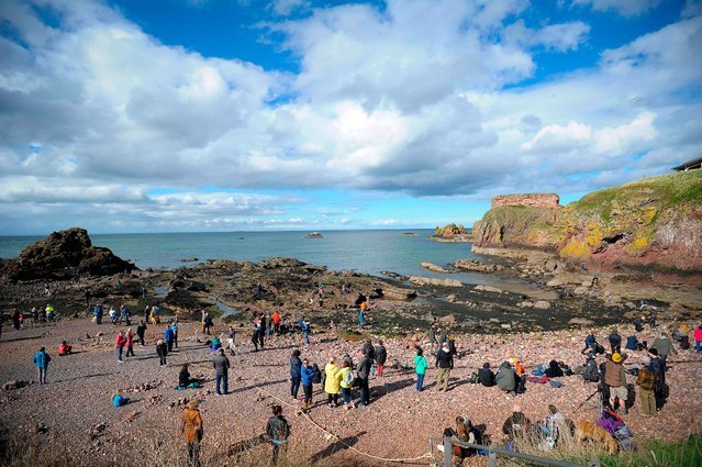 European Championships in laying stones in Dunbar (16 photos) - A rock, Shore, Scotland, Competitions, The photo, Longpost