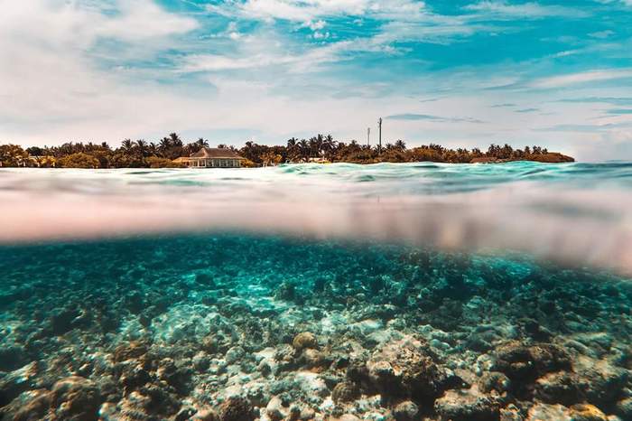 Maldives under and over water - My, The photo, Nature, Indian Ocean, Maldives, A fish, Longpost