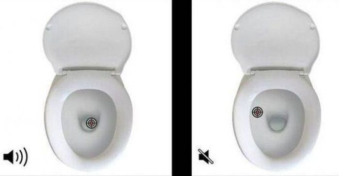 Which option do you usually choose? - Toilet, Soundless, , Life hack, Cunning