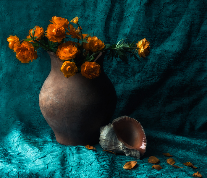 ��������� � ���������