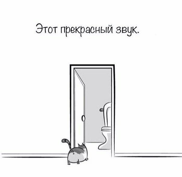 Часть молодой вселенной - Кот, Вселенная, Длиннопост, The Oatmeal, Комиксы