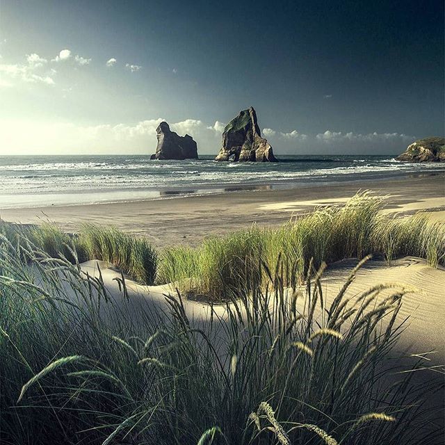 New Zealand - beauty, Landscape, New Zealand, Beach